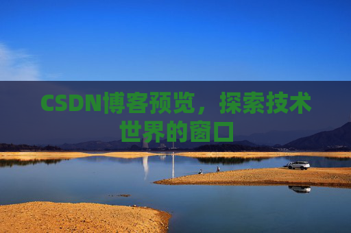 CSDN博客预览，探索技术世界的窗口